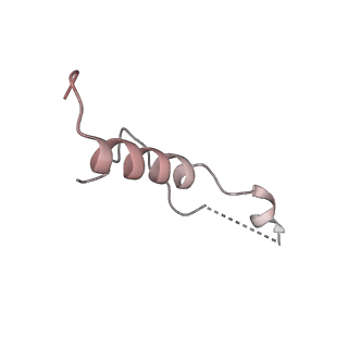 6456_3jbn_Ae_v1-3
Cryo-electron microscopy reconstruction of the Plasmodium falciparum 80S ribosome bound to P-tRNA