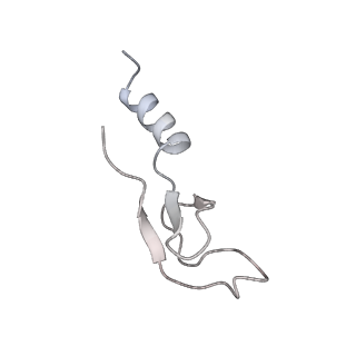 6456_3jbn_Af_v1-3
Cryo-electron microscopy reconstruction of the Plasmodium falciparum 80S ribosome bound to P-tRNA