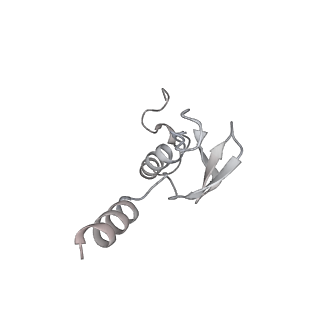 6456_3jbn_Ah_v1-2
Cryo-electron microscopy reconstruction of the Plasmodium falciparum 80S ribosome bound to P-tRNA
