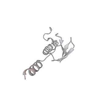 6456_3jbn_Ah_v1-3
Cryo-electron microscopy reconstruction of the Plasmodium falciparum 80S ribosome bound to P-tRNA