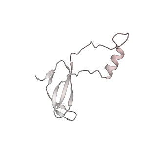 6456_3jbn_Ai_v1-2
Cryo-electron microscopy reconstruction of the Plasmodium falciparum 80S ribosome bound to P-tRNA