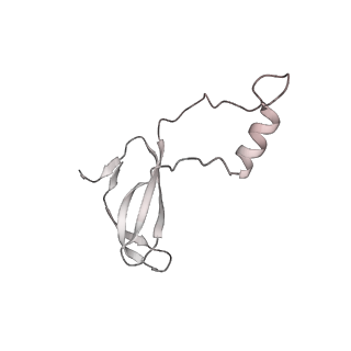 6456_3jbn_Ai_v1-3
Cryo-electron microscopy reconstruction of the Plasmodium falciparum 80S ribosome bound to P-tRNA