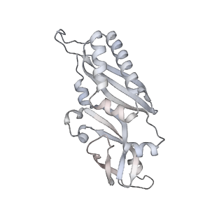 6456_3jbn_B_v1-2
Cryo-electron microscopy reconstruction of the Plasmodium falciparum 80S ribosome bound to P-tRNA