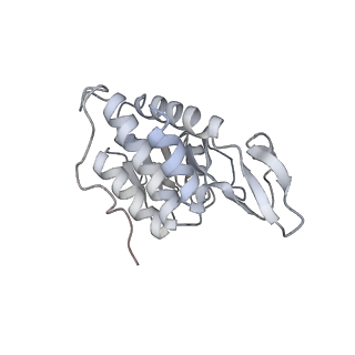 6456_3jbn_C_v1-2
Cryo-electron microscopy reconstruction of the Plasmodium falciparum 80S ribosome bound to P-tRNA