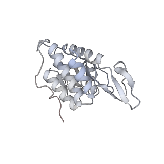 6456_3jbn_C_v1-3
Cryo-electron microscopy reconstruction of the Plasmodium falciparum 80S ribosome bound to P-tRNA