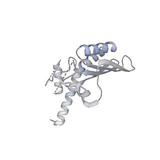 6456_3jbn_D_v1-2
Cryo-electron microscopy reconstruction of the Plasmodium falciparum 80S ribosome bound to P-tRNA
