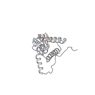 6456_3jbn_E_v1-2
Cryo-electron microscopy reconstruction of the Plasmodium falciparum 80S ribosome bound to P-tRNA