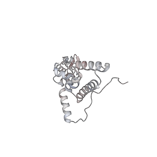 6456_3jbn_E_v1-3
Cryo-electron microscopy reconstruction of the Plasmodium falciparum 80S ribosome bound to P-tRNA