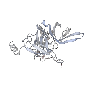 6456_3jbn_F_v1-2
Cryo-electron microscopy reconstruction of the Plasmodium falciparum 80S ribosome bound to P-tRNA