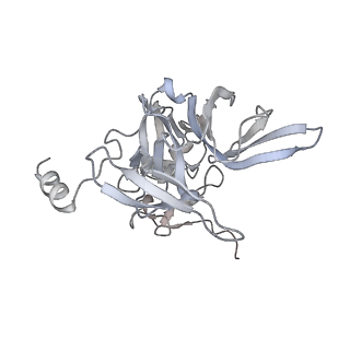 6456_3jbn_F_v1-3
Cryo-electron microscopy reconstruction of the Plasmodium falciparum 80S ribosome bound to P-tRNA