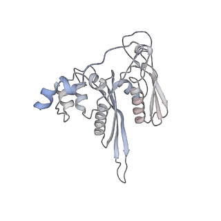 6456_3jbn_G_v1-2
Cryo-electron microscopy reconstruction of the Plasmodium falciparum 80S ribosome bound to P-tRNA