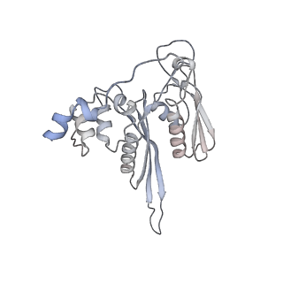 6456_3jbn_G_v1-3
Cryo-electron microscopy reconstruction of the Plasmodium falciparum 80S ribosome bound to P-tRNA