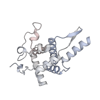 6456_3jbn_I_v1-2
Cryo-electron microscopy reconstruction of the Plasmodium falciparum 80S ribosome bound to P-tRNA