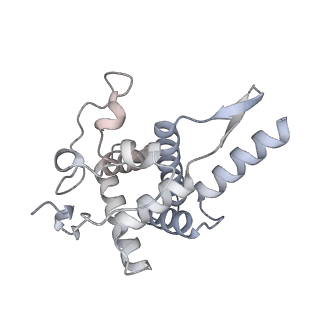 6456_3jbn_I_v1-3
Cryo-electron microscopy reconstruction of the Plasmodium falciparum 80S ribosome bound to P-tRNA