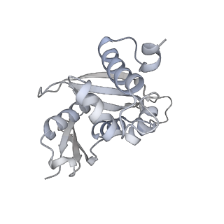 6456_3jbn_J_v1-2
Cryo-electron microscopy reconstruction of the Plasmodium falciparum 80S ribosome bound to P-tRNA