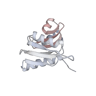 6456_3jbn_K_v1-2
Cryo-electron microscopy reconstruction of the Plasmodium falciparum 80S ribosome bound to P-tRNA