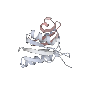 6456_3jbn_K_v1-3
Cryo-electron microscopy reconstruction of the Plasmodium falciparum 80S ribosome bound to P-tRNA