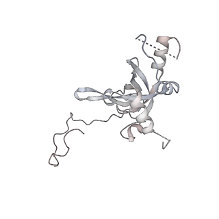 6456_3jbn_L_v1-2
Cryo-electron microscopy reconstruction of the Plasmodium falciparum 80S ribosome bound to P-tRNA