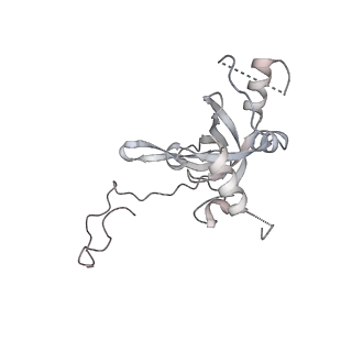 6456_3jbn_L_v1-3
Cryo-electron microscopy reconstruction of the Plasmodium falciparum 80S ribosome bound to P-tRNA