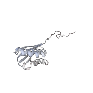 6456_3jbn_M_v1-2
Cryo-electron microscopy reconstruction of the Plasmodium falciparum 80S ribosome bound to P-tRNA