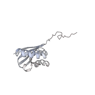 6456_3jbn_M_v1-3
Cryo-electron microscopy reconstruction of the Plasmodium falciparum 80S ribosome bound to P-tRNA