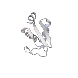 6456_3jbn_O_v1-2
Cryo-electron microscopy reconstruction of the Plasmodium falciparum 80S ribosome bound to P-tRNA