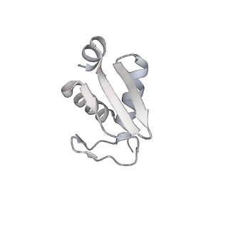 6456_3jbn_O_v1-3
Cryo-electron microscopy reconstruction of the Plasmodium falciparum 80S ribosome bound to P-tRNA