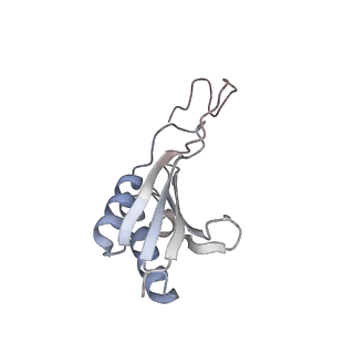 6456_3jbn_P_v1-2
Cryo-electron microscopy reconstruction of the Plasmodium falciparum 80S ribosome bound to P-tRNA