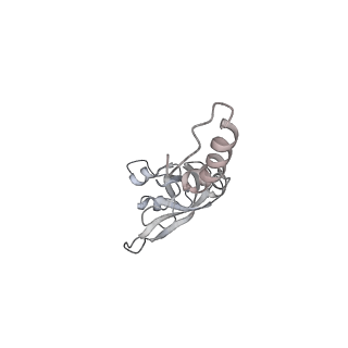 6456_3jbn_Q_v1-2
Cryo-electron microscopy reconstruction of the Plasmodium falciparum 80S ribosome bound to P-tRNA
