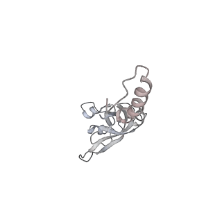 6456_3jbn_Q_v1-3
Cryo-electron microscopy reconstruction of the Plasmodium falciparum 80S ribosome bound to P-tRNA