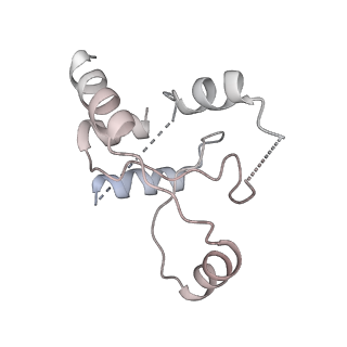 6456_3jbn_R_v1-2
Cryo-electron microscopy reconstruction of the Plasmodium falciparum 80S ribosome bound to P-tRNA
