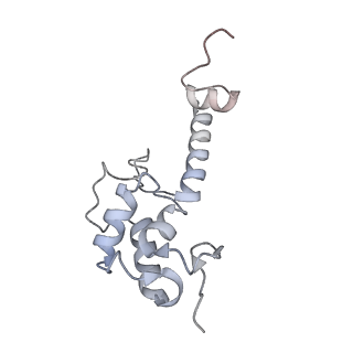 6456_3jbn_S_v1-2
Cryo-electron microscopy reconstruction of the Plasmodium falciparum 80S ribosome bound to P-tRNA