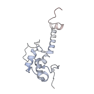 6456_3jbn_S_v1-3
Cryo-electron microscopy reconstruction of the Plasmodium falciparum 80S ribosome bound to P-tRNA