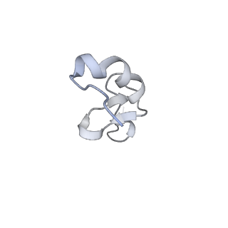 6456_3jbn_T_v1-2
Cryo-electron microscopy reconstruction of the Plasmodium falciparum 80S ribosome bound to P-tRNA
