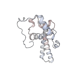 6456_3jbn_U_v1-2
Cryo-electron microscopy reconstruction of the Plasmodium falciparum 80S ribosome bound to P-tRNA