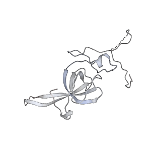 6456_3jbn_V_v1-2
Cryo-electron microscopy reconstruction of the Plasmodium falciparum 80S ribosome bound to P-tRNA