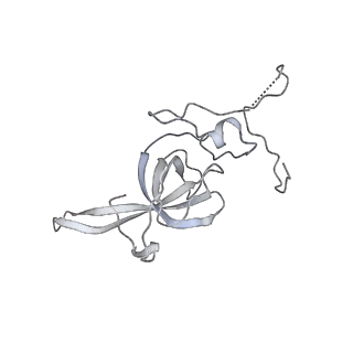 6456_3jbn_V_v1-3
Cryo-electron microscopy reconstruction of the Plasmodium falciparum 80S ribosome bound to P-tRNA