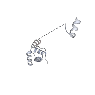 6456_3jbn_W_v1-2
Cryo-electron microscopy reconstruction of the Plasmodium falciparum 80S ribosome bound to P-tRNA