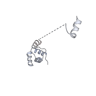 6456_3jbn_W_v1-3
Cryo-electron microscopy reconstruction of the Plasmodium falciparum 80S ribosome bound to P-tRNA