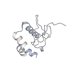 6456_3jbn_X_v1-2
Cryo-electron microscopy reconstruction of the Plasmodium falciparum 80S ribosome bound to P-tRNA