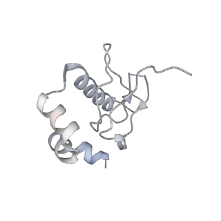 6456_3jbn_X_v1-3
Cryo-electron microscopy reconstruction of the Plasmodium falciparum 80S ribosome bound to P-tRNA