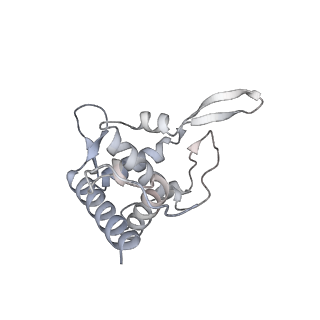 6456_3jbn_Y_v1-2
Cryo-electron microscopy reconstruction of the Plasmodium falciparum 80S ribosome bound to P-tRNA