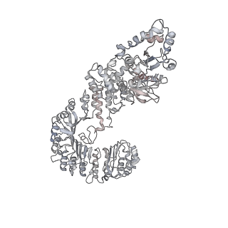 6458_3jbl_A_v1-2
Cryo-EM Structure of the Activated NAIP2/NLRC4 Inflammasome Reveals Nucleated Polymerization