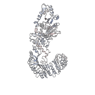 6458_3jbl_B_v1-2
Cryo-EM Structure of the Activated NAIP2/NLRC4 Inflammasome Reveals Nucleated Polymerization