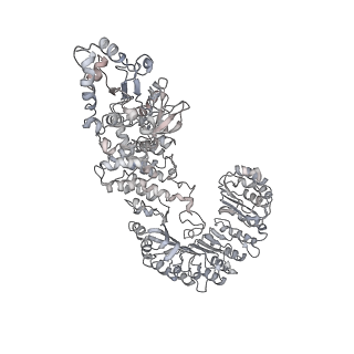 6458_3jbl_C_v1-2
Cryo-EM Structure of the Activated NAIP2/NLRC4 Inflammasome Reveals Nucleated Polymerization