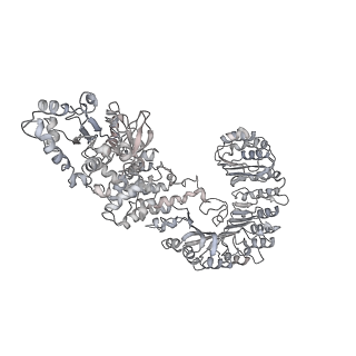 6458_3jbl_D_v1-2
Cryo-EM Structure of the Activated NAIP2/NLRC4 Inflammasome Reveals Nucleated Polymerization