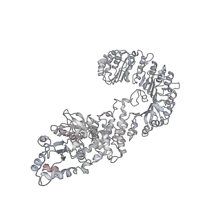 6458_3jbl_F_v1-2
Cryo-EM Structure of the Activated NAIP2/NLRC4 Inflammasome Reveals Nucleated Polymerization