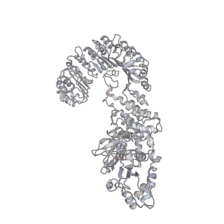 6458_3jbl_H_v1-2
Cryo-EM Structure of the Activated NAIP2/NLRC4 Inflammasome Reveals Nucleated Polymerization