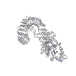 6458_3jbl_I_v1-2
Cryo-EM Structure of the Activated NAIP2/NLRC4 Inflammasome Reveals Nucleated Polymerization