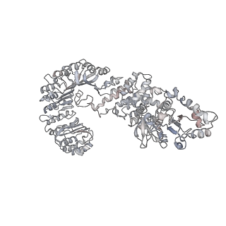 6458_3jbl_J_v1-2
Cryo-EM Structure of the Activated NAIP2/NLRC4 Inflammasome Reveals Nucleated Polymerization